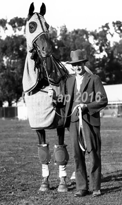 Phar Lap se svým trenérem Tomem Woodcockem na dostihové dráze poblíž San Franciska, cca 25. 1. 1932